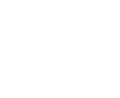 Lion Brazil