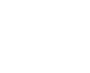 LOGO---LION-BRAZIL